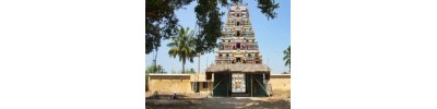 215. திருநெல்வாயில் அரத்துறை
